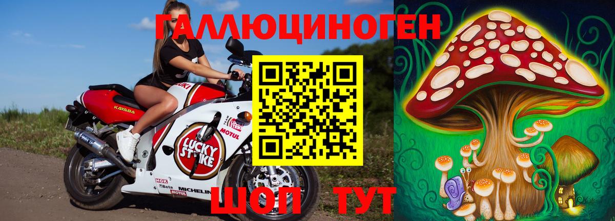 Галлюциногенные грибы прущие грибы  Псилоцибиновые грибы GOLDEN TEACHER  Вход с VPN  Чита 